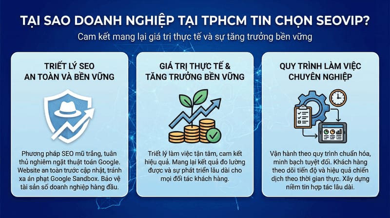 Tại sao nhiều doanh nghiệp TPHCM chọn SEOVIP
