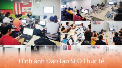 Các doanh nghiệp nên tham gia khóa học Digital Marketing tại SEOViP