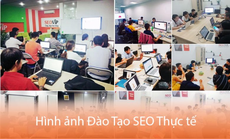 Các doanh nghiệp nên tham gia khóa học Digital Marketing tại SEOViP