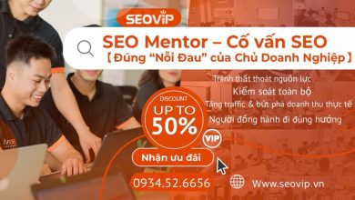 dịch vụ seo mentor